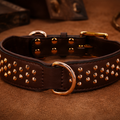 Royal Guard Dog Collar