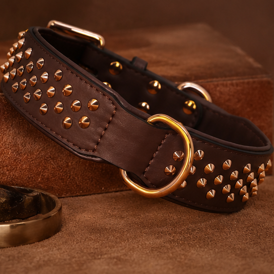 Royal Guard Dog Collar