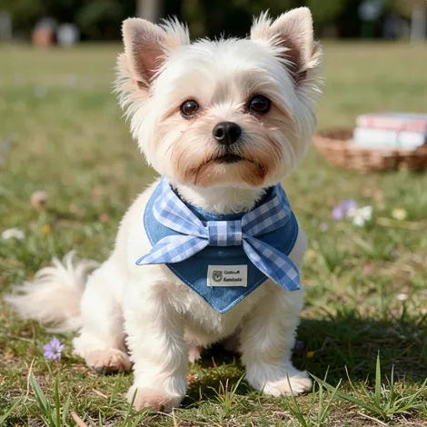 Little Darling Dog Bandana